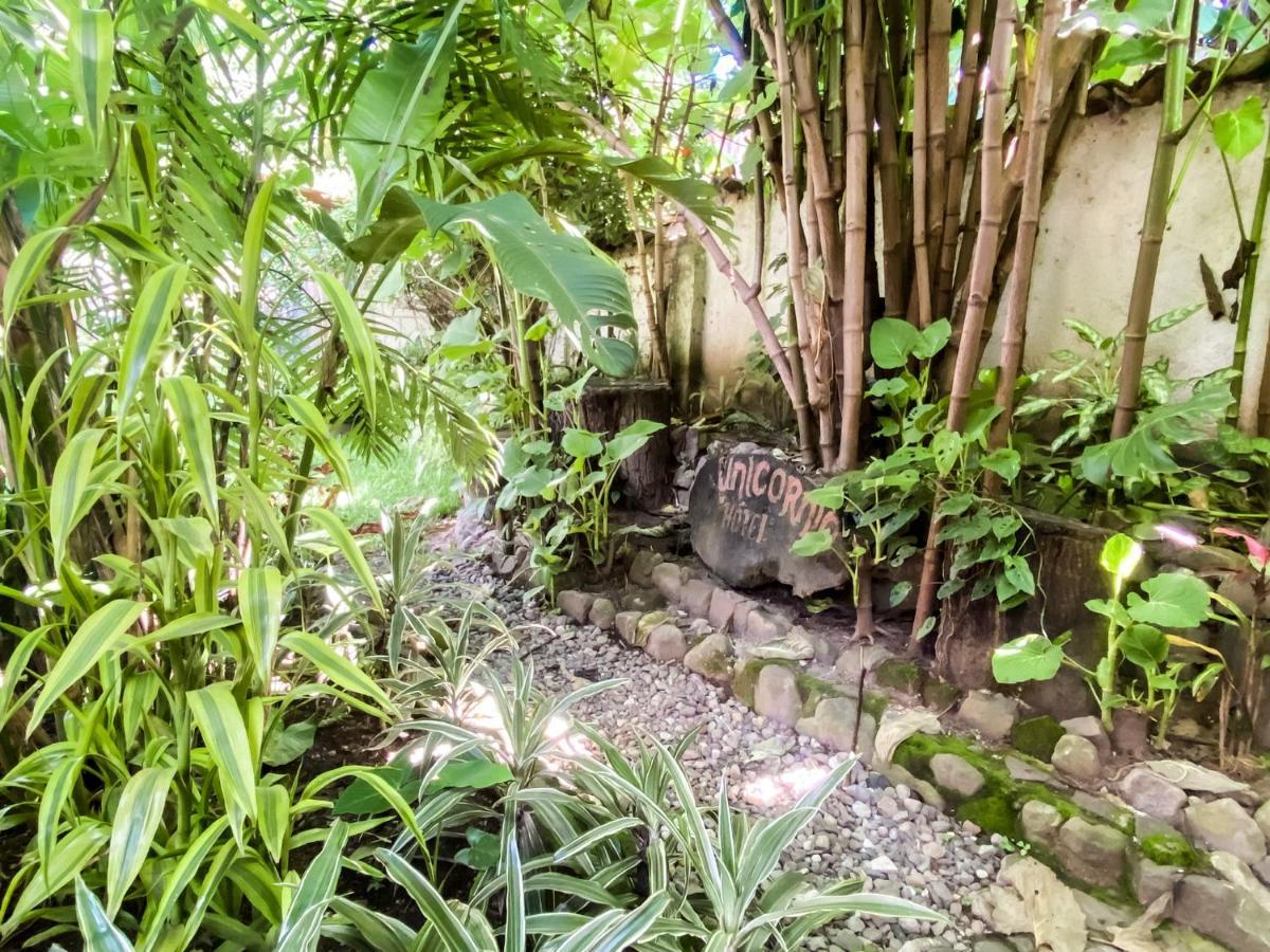 Unicorn Reborn - Peaceful Rentals San Marcos La Laguna Εξωτερικό φωτογραφία