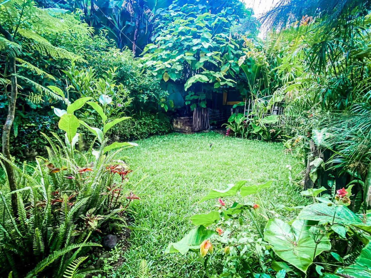 Unicorn Reborn - Peaceful Rentals San Marcos La Laguna Εξωτερικό φωτογραφία