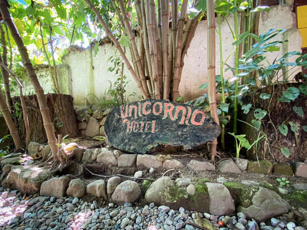 Unicorn Reborn - Peaceful Rentals San Marcos La Laguna Εξωτερικό φωτογραφία