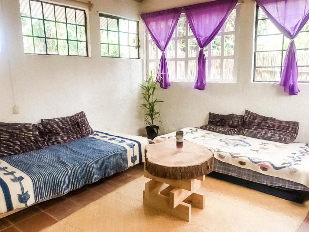 Unicorn Reborn - Peaceful Rentals San Marcos La Laguna Εξωτερικό φωτογραφία